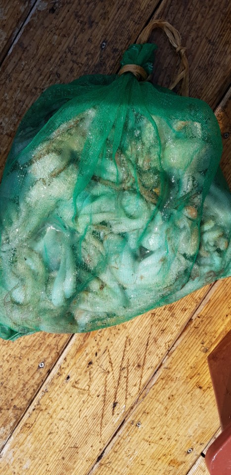 51473b793ed59505ec2cd5a918d49836_1528785231_7519.jpg 51473b793ed59505ec2cd5a918d49836_1528785231_7519.jpg