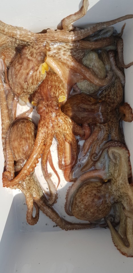 51473b793ed59505ec2cd5a918d49836_1528785232_9328.jpg 51473b793ed59505ec2cd5a918d49836_1528785232_9328.jpg