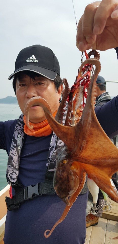 7b15d5c91ca3f0190f0164c0e31f8461_1529915411_6803.jpg 7b15d5c91ca3f0190f0164c0e31f8461_1529915411_6803.jpg