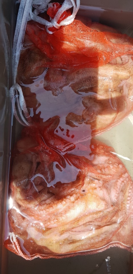 7b15d5c91ca3f0190f0164c0e31f8461_1529915482_5888.jpg 7b15d5c91ca3f0190f0164c0e31f8461_1529915482_5888.jpg