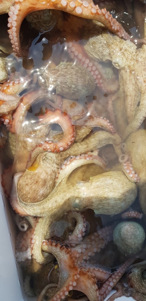 7b15d5c91ca3f0190f0164c0e31f8461_1529915482_9117.jpg 7b15d5c91ca3f0190f0164c0e31f8461_1529915482_9117.jpg