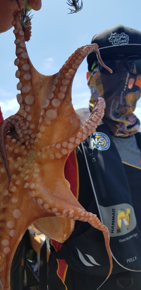 a08c4578d6104d118a613272076ad8cd_1532408979_5672.jpg a08c4578d6104d118a613272076ad8cd_1532408979_5672.jpg