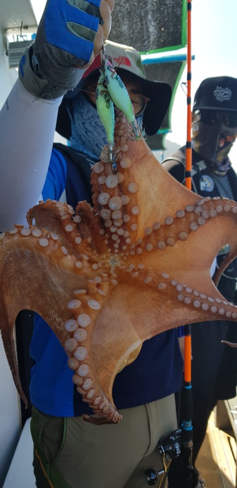 a08c4578d6104d118a613272076ad8cd_1532408979_6839.jpg a08c4578d6104d118a613272076ad8cd_1532408979_6839.jpg