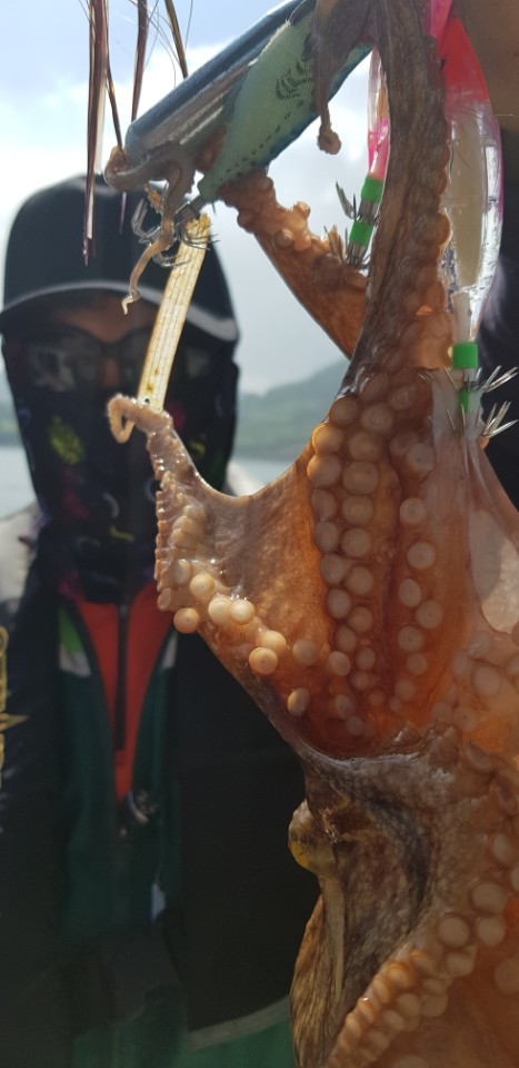 a08c4578d6104d118a613272076ad8cd_1532408979_8011.jpg a08c4578d6104d118a613272076ad8cd_1532408979_8011.jpg