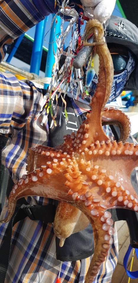 a08c4578d6104d118a613272076ad8cd_1532408979_9385.jpg a08c4578d6104d118a613272076ad8cd_1532408979_9385.jpg