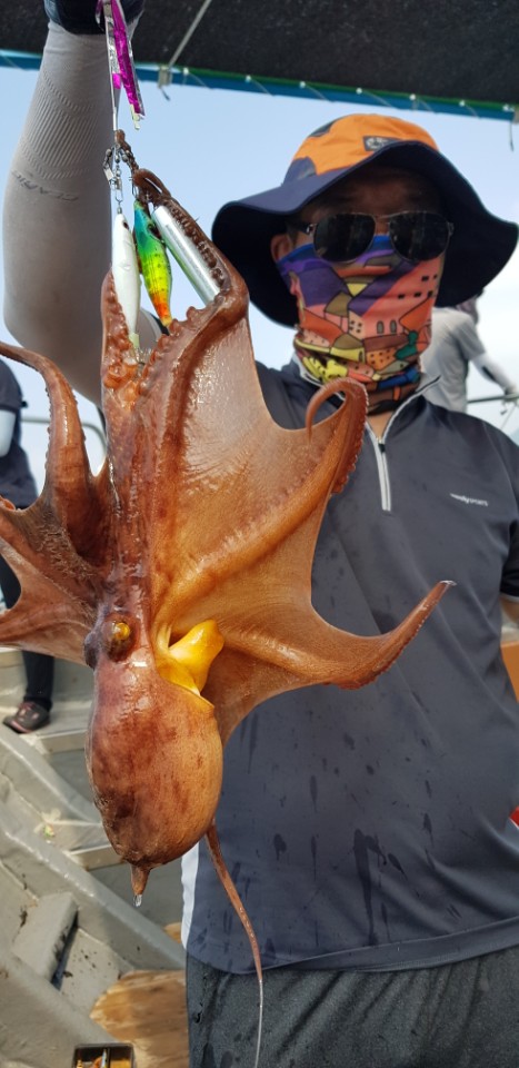 e6481ab83b863a28813d544ef00e1751_1532156828_6554.jpg e6481ab83b863a28813d544ef00e1751_1532156828_6554.jpg