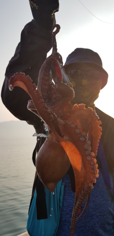 e6481ab83b863a28813d544ef00e1751_1532156829_3868.jpg e6481ab83b863a28813d544ef00e1751_1532156829_3868.jpg