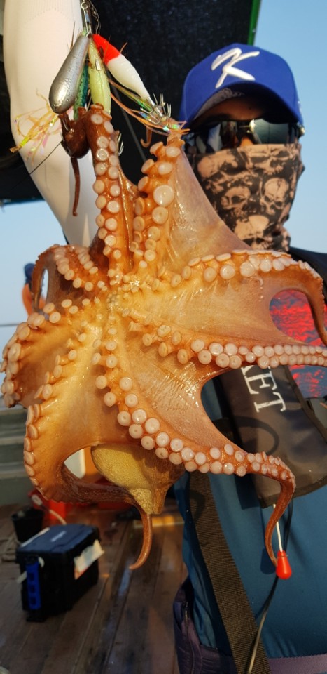 e6481ab83b863a28813d544ef00e1751_1532156829_5038.jpg e6481ab83b863a28813d544ef00e1751_1532156829_5038.jpg