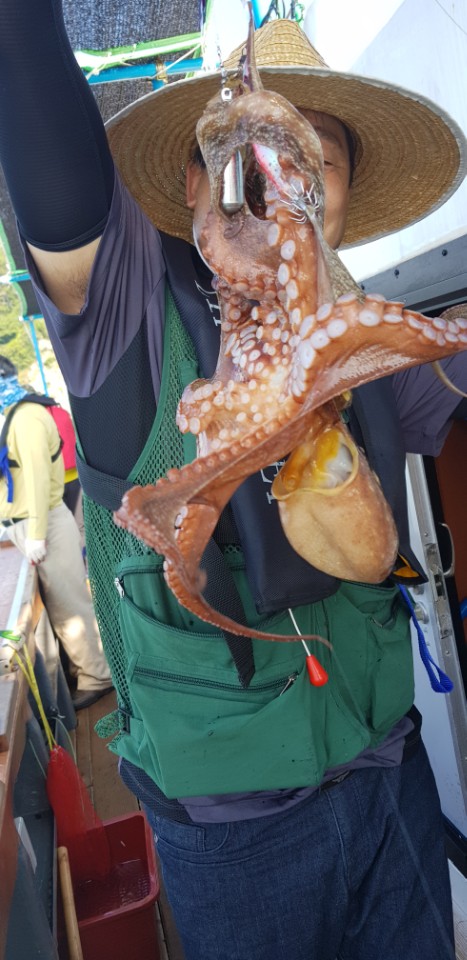 ff392d5cd6dfc75a30713a983c122bd9_1532497167_0881.jpg ff392d5cd6dfc75a30713a983c122bd9_1532497167_0881.jpg