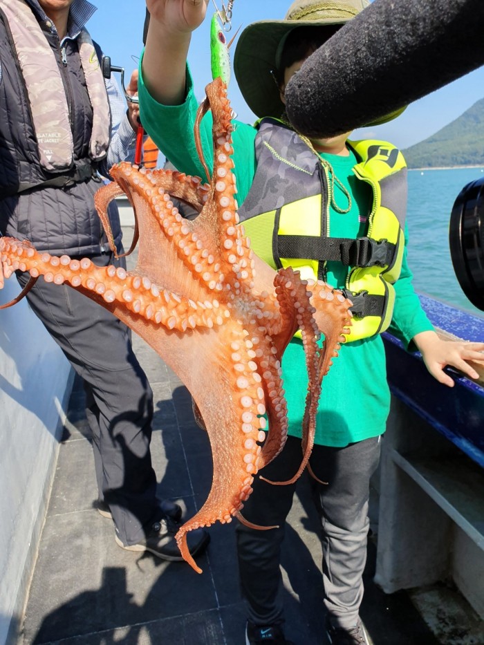 f3433c54b4f5999006a299fb18763f3f_1571994501_0638.jpg f3433c54b4f5999006a299fb18763f3f_1571994501_0638.jpg