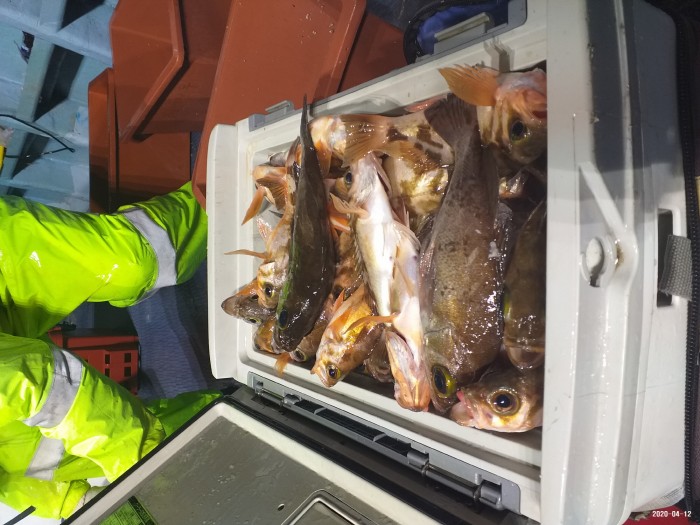 33e28d3cdf82da7f2d90ba96c673f1a3_1586640397_6309.jpg 33e28d3cdf82da7f2d90ba96c673f1a3_1586640397_6309.jpg