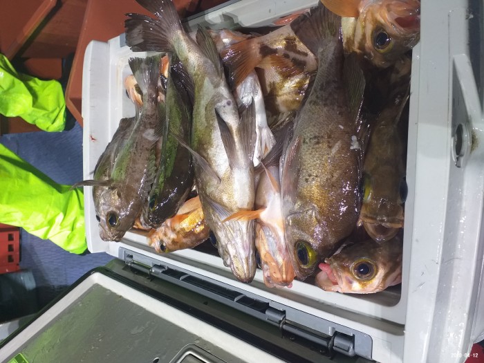 33e28d3cdf82da7f2d90ba96c673f1a3_1586640398_2014.jpg 33e28d3cdf82da7f2d90ba96c673f1a3_1586640398_2014.jpg