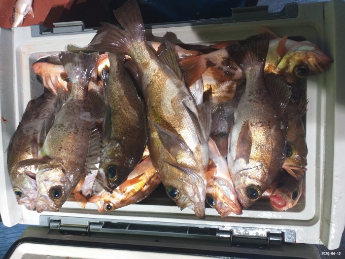 33e28d3cdf82da7f2d90ba96c673f1a3_1586640398_7944.jpg 33e28d3cdf82da7f2d90ba96c673f1a3_1586640398_7944.jpg