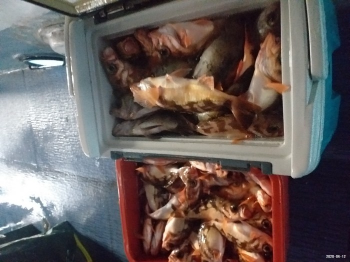 33e28d3cdf82da7f2d90ba96c673f1a3_1586640401_0816.jpg 33e28d3cdf82da7f2d90ba96c673f1a3_1586640401_0816.jpg