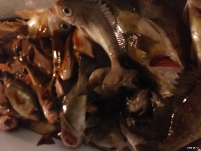 33e28d3cdf82da7f2d90ba96c673f1a3_1586640401_5488.jpg 33e28d3cdf82da7f2d90ba96c673f1a3_1586640401_5488.jpg