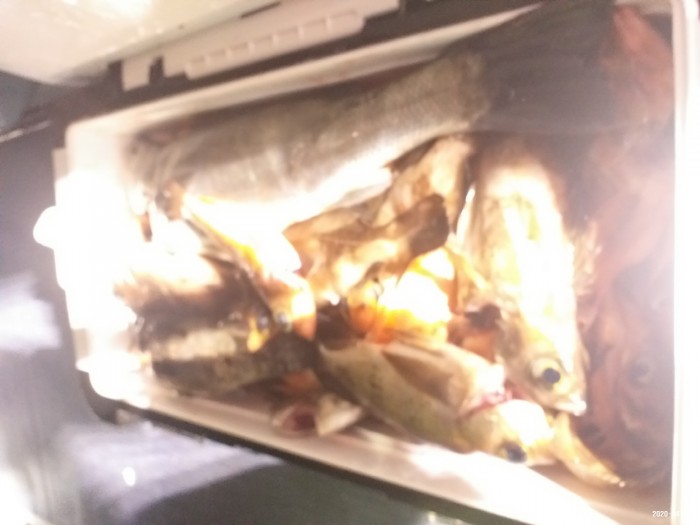 33e28d3cdf82da7f2d90ba96c673f1a3_1586640401_9797.jpg 33e28d3cdf82da7f2d90ba96c673f1a3_1586640401_9797.jpg