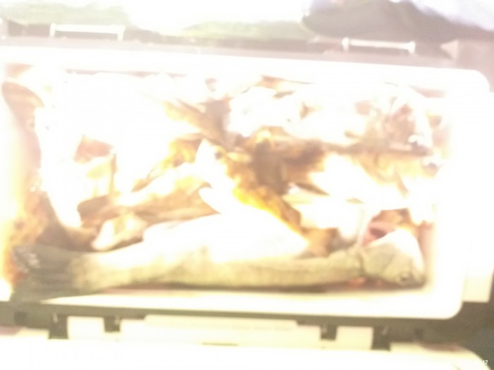 33e28d3cdf82da7f2d90ba96c673f1a3_1586640402_3726.jpg 33e28d3cdf82da7f2d90ba96c673f1a3_1586640402_3726.jpg