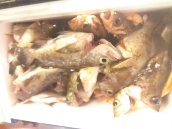 33e28d3cdf82da7f2d90ba96c673f1a3_1586640402_7899.jpg 33e28d3cdf82da7f2d90ba96c673f1a3_1586640402_7899.jpg