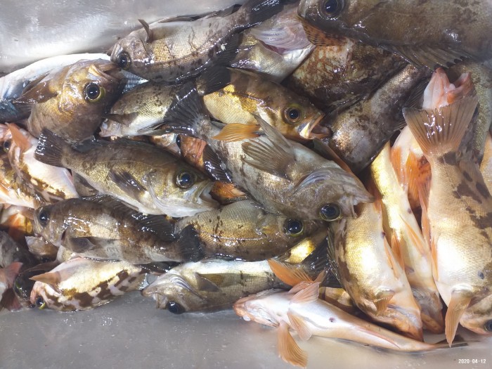 33e28d3cdf82da7f2d90ba96c673f1a3_1586640403_3483.jpg 33e28d3cdf82da7f2d90ba96c673f1a3_1586640403_3483.jpg