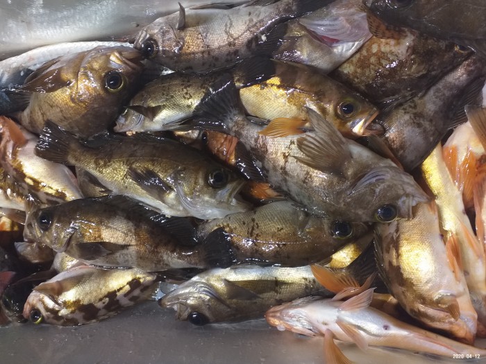 33e28d3cdf82da7f2d90ba96c673f1a3_1586640403_9571.jpg 33e28d3cdf82da7f2d90ba96c673f1a3_1586640403_9571.jpg