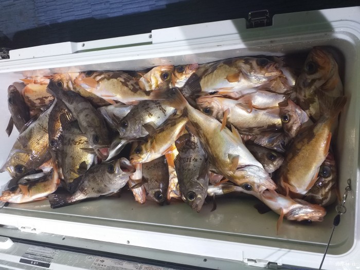 33e28d3cdf82da7f2d90ba96c673f1a3_1586640404_5359.jpg 33e28d3cdf82da7f2d90ba96c673f1a3_1586640404_5359.jpg