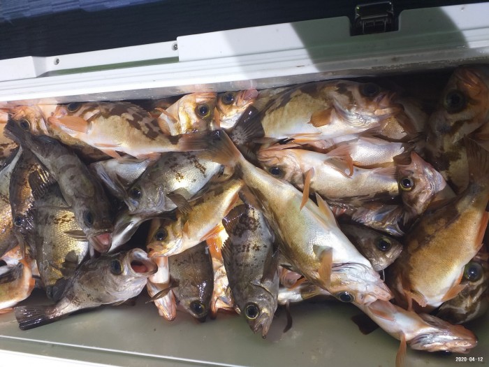 33e28d3cdf82da7f2d90ba96c673f1a3_1586640405_117.jpg 33e28d3cdf82da7f2d90ba96c673f1a3_1586640405_117.jpg