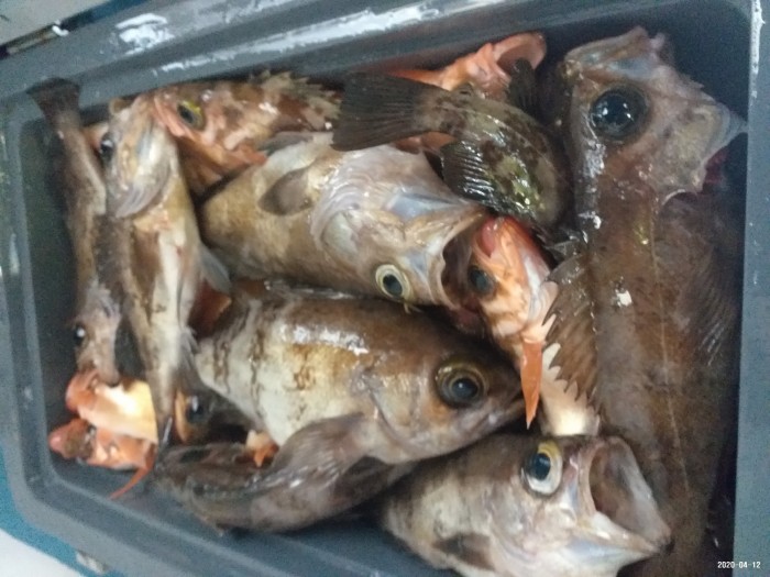 33e28d3cdf82da7f2d90ba96c673f1a3_1586640405_6569.jpg 33e28d3cdf82da7f2d90ba96c673f1a3_1586640405_6569.jpg