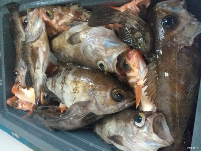 33e28d3cdf82da7f2d90ba96c673f1a3_1586640406_2208.jpg 33e28d3cdf82da7f2d90ba96c673f1a3_1586640406_2208.jpg