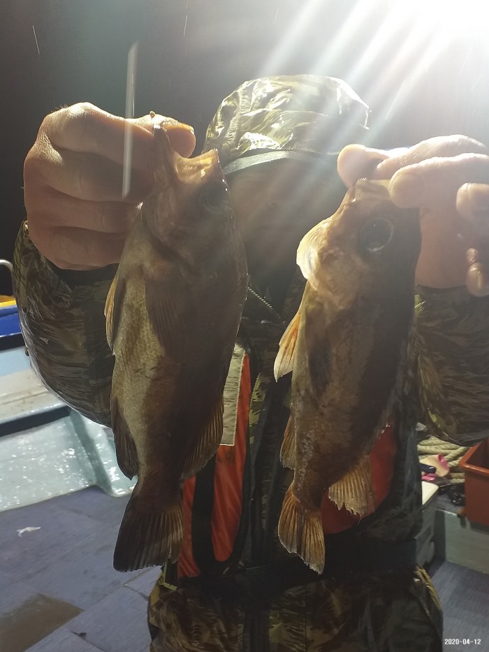 33e28d3cdf82da7f2d90ba96c673f1a3_1586640408_6162.jpg 33e28d3cdf82da7f2d90ba96c673f1a3_1586640408_6162.jpg