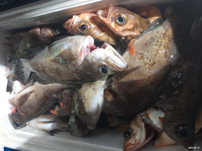 33e28d3cdf82da7f2d90ba96c673f1a3_1586640410_2472.jpg 33e28d3cdf82da7f2d90ba96c673f1a3_1586640410_2472.jpg