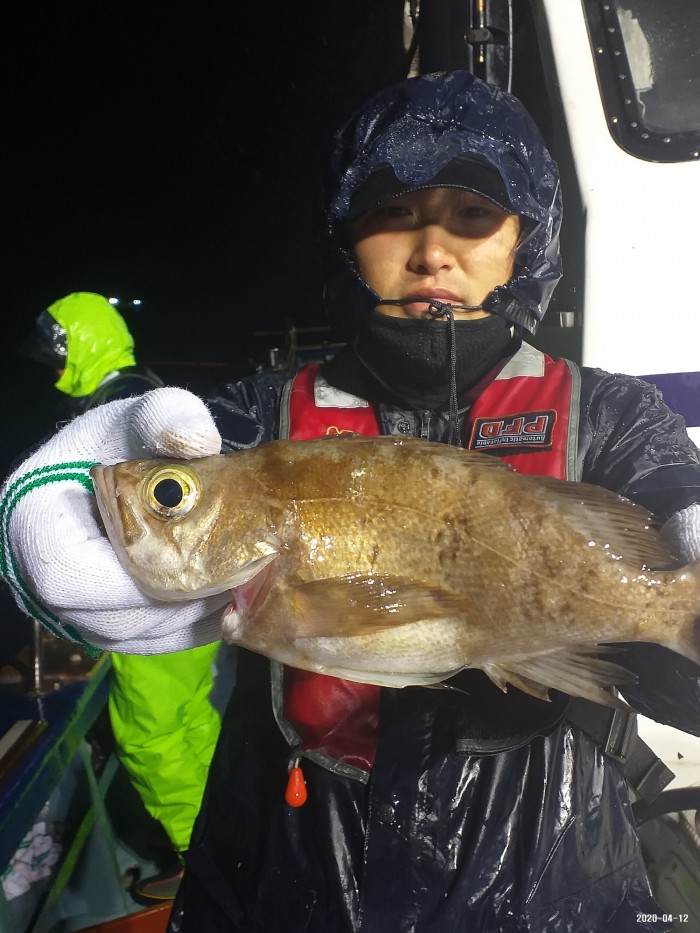 33e28d3cdf82da7f2d90ba96c673f1a3_1586640410_904.jpg 33e28d3cdf82da7f2d90ba96c673f1a3_1586640410_904.jpg