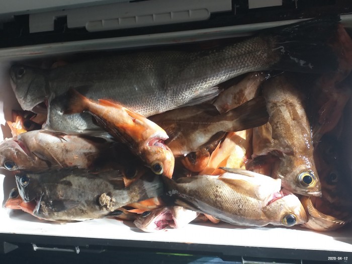 33e28d3cdf82da7f2d90ba96c673f1a3_1586640411_5683.jpg 33e28d3cdf82da7f2d90ba96c673f1a3_1586640411_5683.jpg