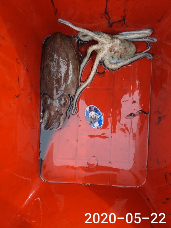 07a61e84968b00ae49af3d699874f791_1590116890_0916.jpg 07a61e84968b00ae49af3d699874f791_1590116890_0916.jpg