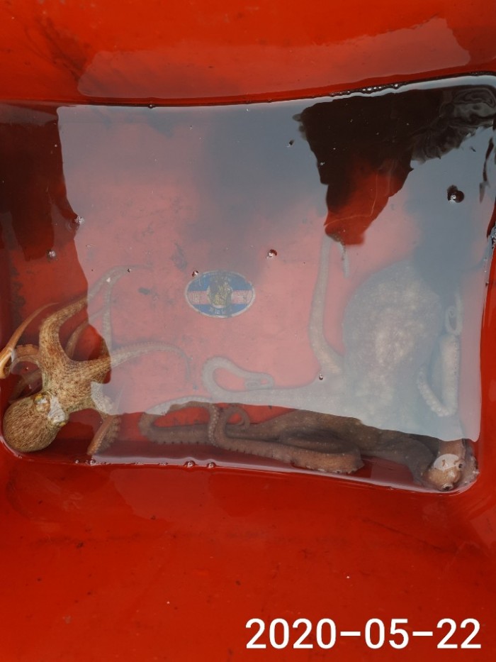 07a61e84968b00ae49af3d699874f791_1590116890_2961.jpg 07a61e84968b00ae49af3d699874f791_1590116890_2961.jpg