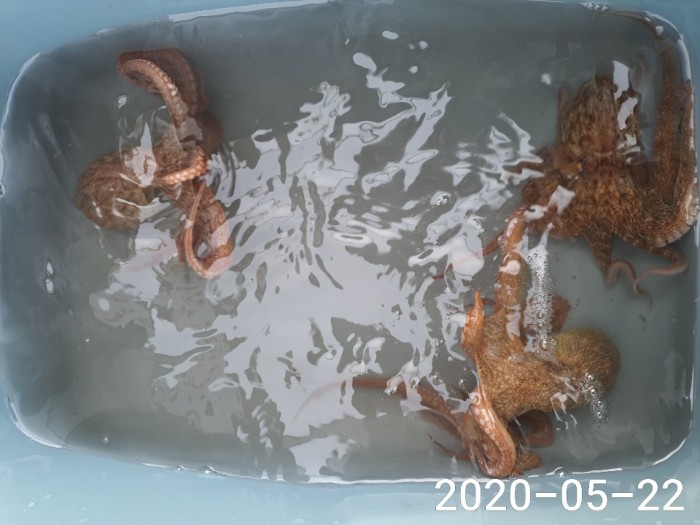 07a61e84968b00ae49af3d699874f791_1590116891_1456.jpg 07a61e84968b00ae49af3d699874f791_1590116891_1456.jpg