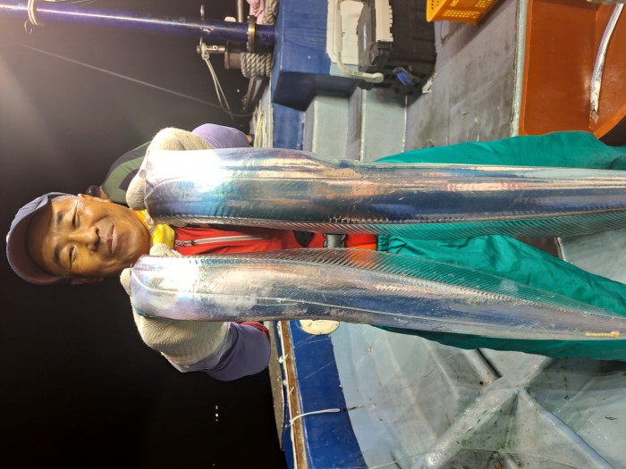 f4e4c45d4c1a88bb7a68414705c9e2c3_1598664450_9771.jpg f4e4c45d4c1a88bb7a68414705c9e2c3_1598664450_9771.jpg