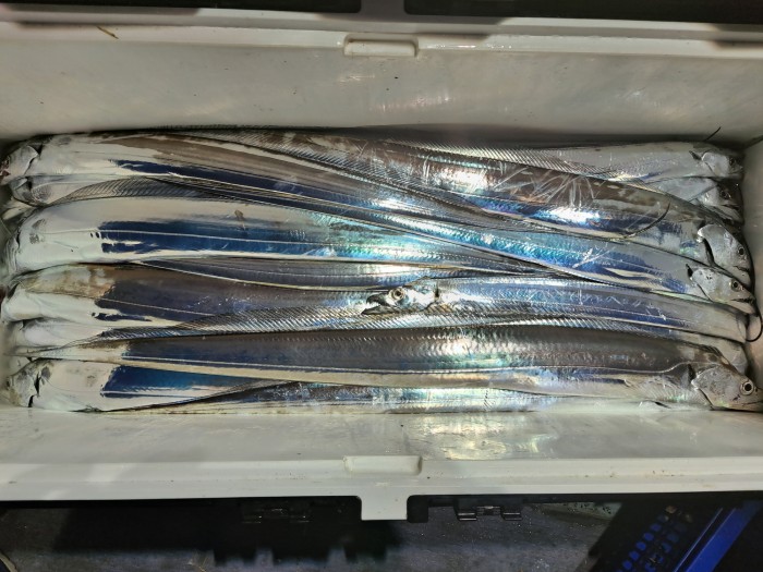 f4e4c45d4c1a88bb7a68414705c9e2c3_1598664468_2753.jpg f4e4c45d4c1a88bb7a68414705c9e2c3_1598664468_2753.jpg