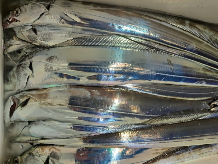 f4e4c45d4c1a88bb7a68414705c9e2c3_1598664468_7234.jpg f4e4c45d4c1a88bb7a68414705c9e2c3_1598664468_7234.jpg