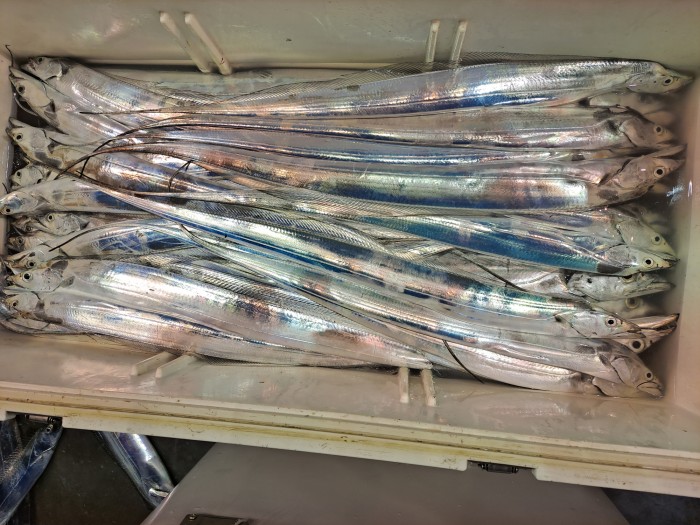 f4e4c45d4c1a88bb7a68414705c9e2c3_1598664469_21.jpg f4e4c45d4c1a88bb7a68414705c9e2c3_1598664469_21.jpg