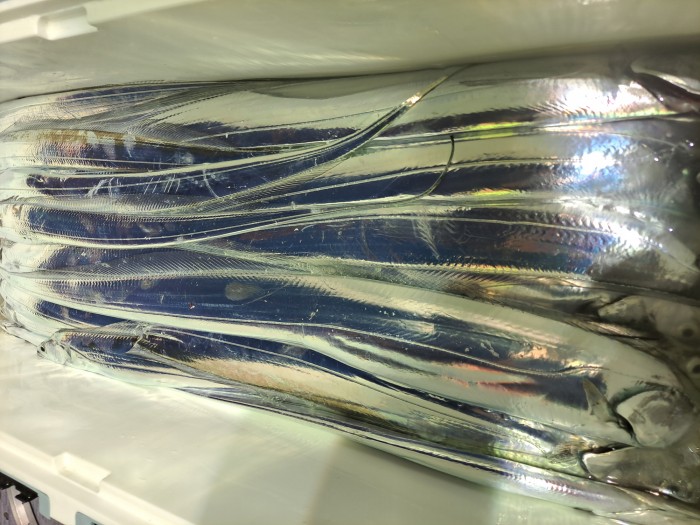 f4e4c45d4c1a88bb7a68414705c9e2c3_1598664469_9992.jpg f4e4c45d4c1a88bb7a68414705c9e2c3_1598664469_9992.jpg