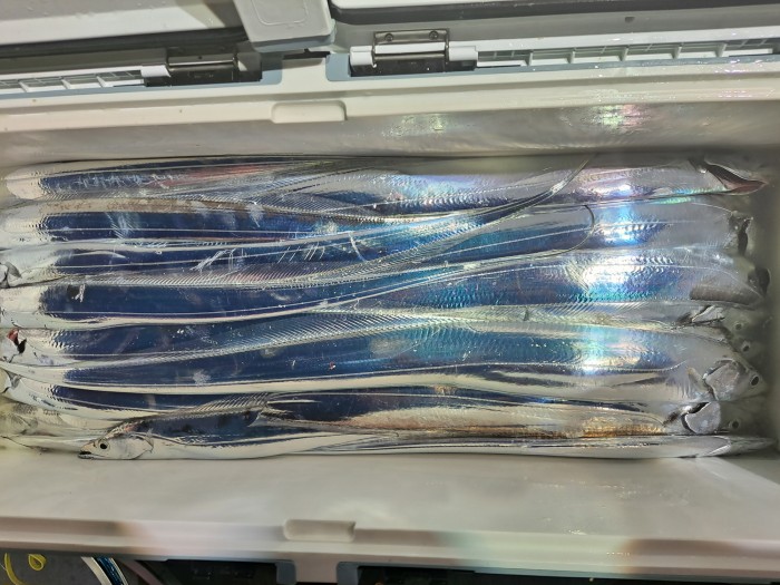 f4e4c45d4c1a88bb7a68414705c9e2c3_1598664470_7649.jpg f4e4c45d4c1a88bb7a68414705c9e2c3_1598664470_7649.jpg