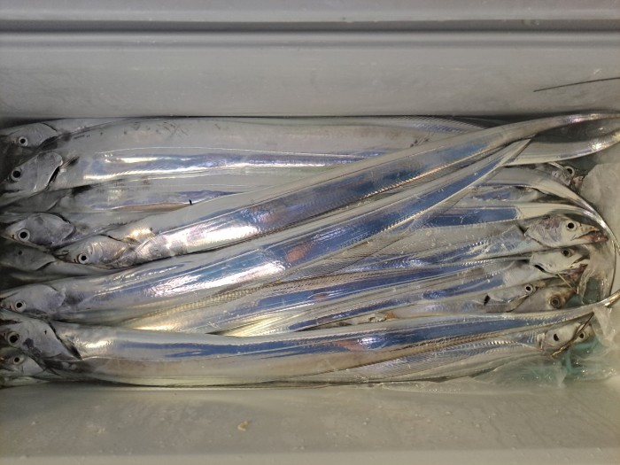 f4e4c45d4c1a88bb7a68414705c9e2c3_1598664471_4074.jpg f4e4c45d4c1a88bb7a68414705c9e2c3_1598664471_4074.jpg