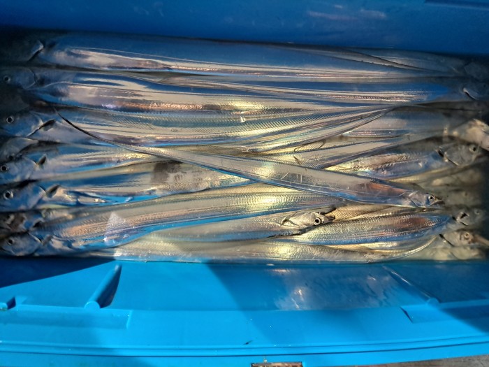 f4e4c45d4c1a88bb7a68414705c9e2c3_1598664471_8659.jpg f4e4c45d4c1a88bb7a68414705c9e2c3_1598664471_8659.jpg