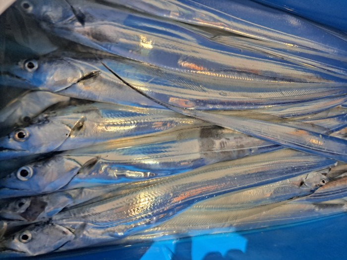 f4e4c45d4c1a88bb7a68414705c9e2c3_1598664472_3403.jpg f4e4c45d4c1a88bb7a68414705c9e2c3_1598664472_3403.jpg