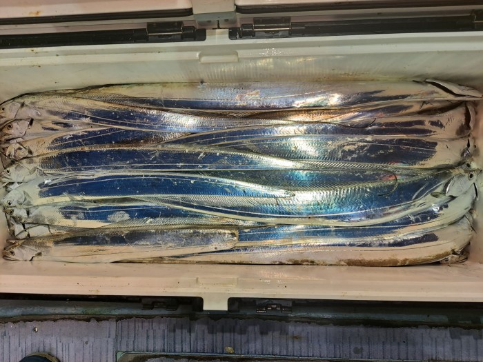 f4e4c45d4c1a88bb7a68414705c9e2c3_1598664472_8341.jpg f4e4c45d4c1a88bb7a68414705c9e2c3_1598664472_8341.jpg