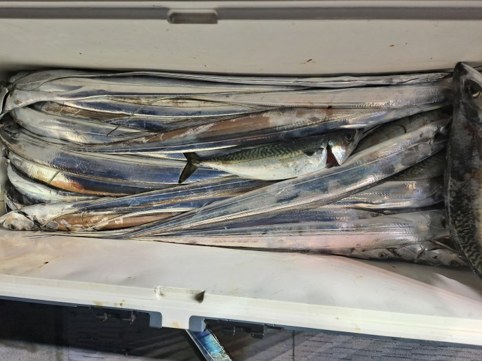 f4e4c45d4c1a88bb7a68414705c9e2c3_1598664473_2883.jpg f4e4c45d4c1a88bb7a68414705c9e2c3_1598664473_2883.jpg