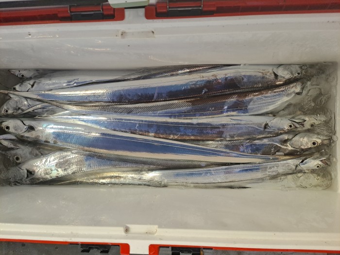 f4e4c45d4c1a88bb7a68414705c9e2c3_1598664473_7452.jpg f4e4c45d4c1a88bb7a68414705c9e2c3_1598664473_7452.jpg