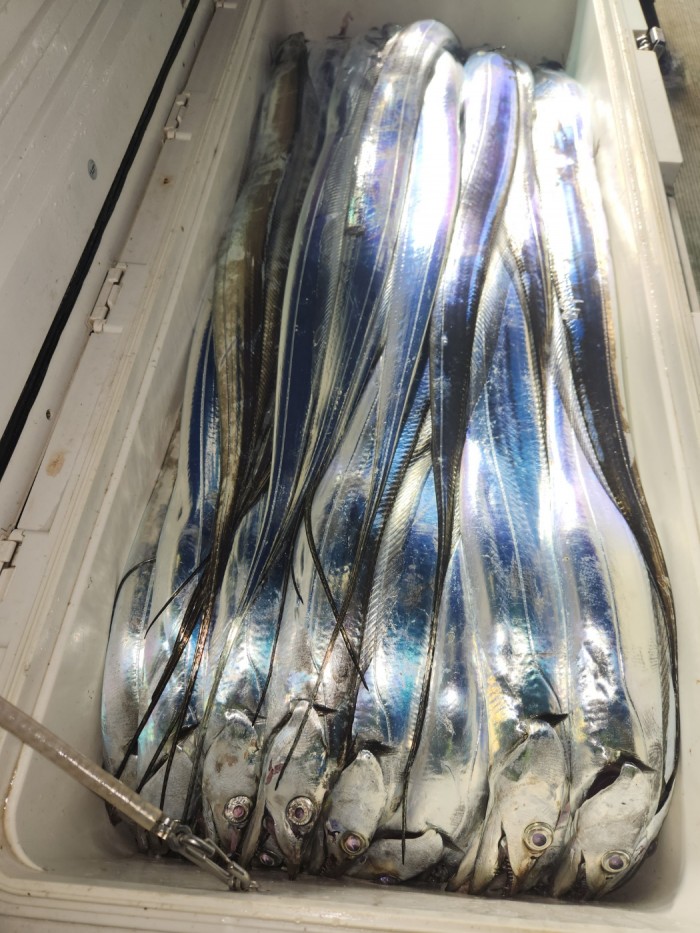 0f1819991e6972e48e218ffc2448b152_1692923597_3806.jpg 0f1819991e6972e48e218ffc2448b152_1692923597_3806.jpg