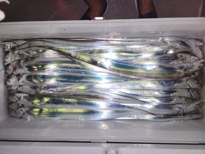 0f1819991e6972e48e218ffc2448b152_1692923597_6676.jpg 0f1819991e6972e48e218ffc2448b152_1692923597_6676.jpg