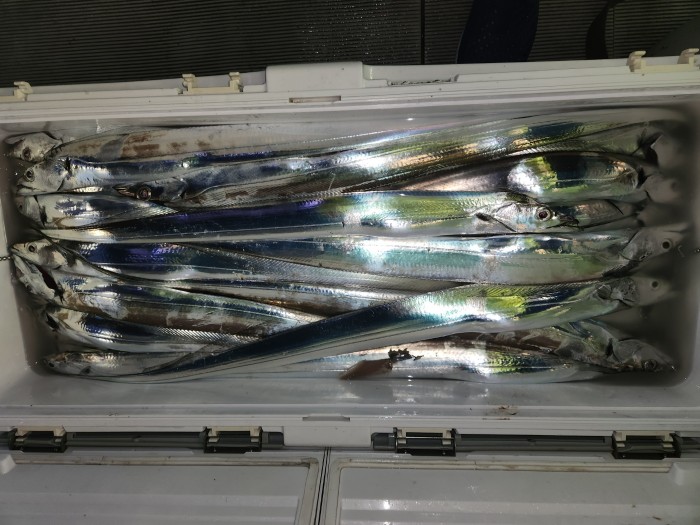 0f1819991e6972e48e218ffc2448b152_1692923597_8809.jpg 0f1819991e6972e48e218ffc2448b152_1692923597_8809.jpg